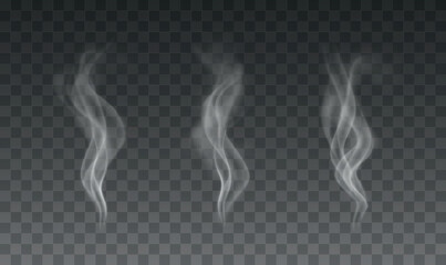 Vector set of realistic smoke or steam transparent effects on dark background - 575314170