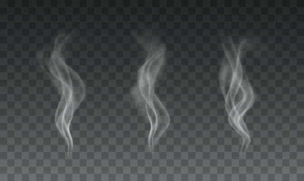 Vector set of realistic smoke or steam transparent effects on dark background