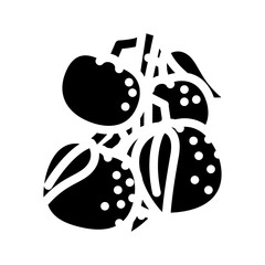 branch mandarin orange glyph icon vector illustration