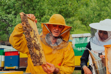 African American Muslim women with an experienced senior beekeeper checking the quality and production of honey at a large bee farm