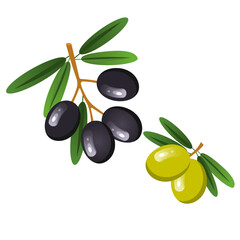 Vector image of olives . The concept of a healthy diet and lifestyle. A ripe and delicious product. A bright element for your design