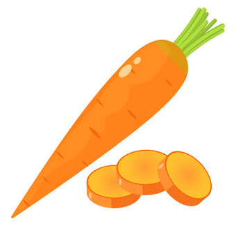 Vector image of carrots . The concept of a healthy diet and lifestyle. A ripe and delicious product. A bright element for your design