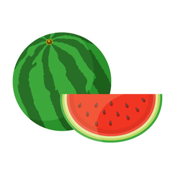 Vector image of a watermelon. The concept of a healthy diet and lifestyle. A ripe and delicious product. A bright element for your design