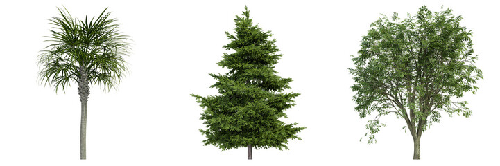 various tree isolated on white, photorealistic render