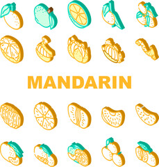 mandarin citrus fruit icons set vector