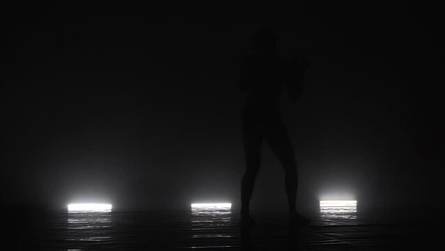 Modern ballet dancer performing on dark stage. Silhouettes of male performer with smoke in the air