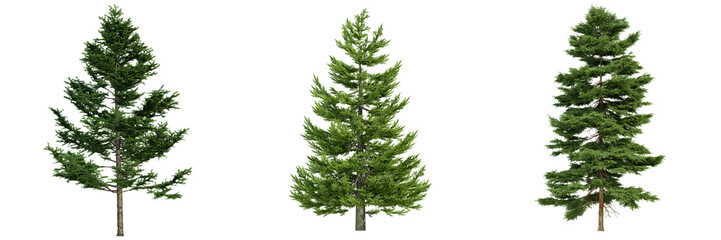 various tree isolated on white, photorealistic render