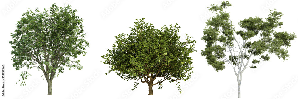 Sticker various tree isolated on white, photorealistic render