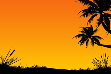 Summer tropical beach backgrounds