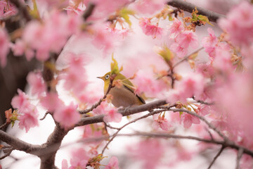 春の訪れ　代々木公園の桜とメジロ