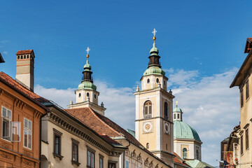 Fototapeta na wymiar Dom St. Nikolaus Ljubljana, Slowenien