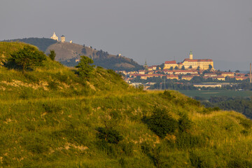 Obraz premium Mikulov castle and vineyard, Southern Moravia, Czech Republic