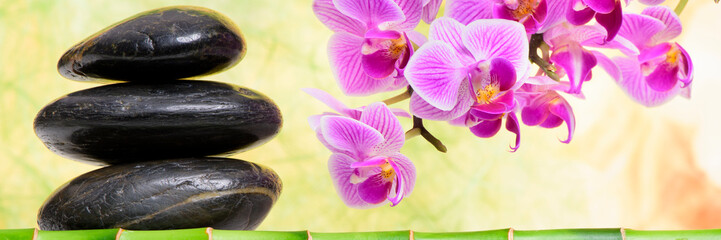Japanese zen garden with orchid flower