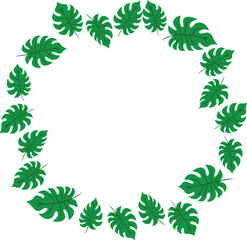 monstera leaf decoration illustration
