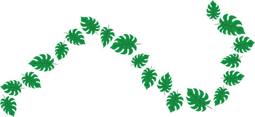 monstera leaf decoration illustration