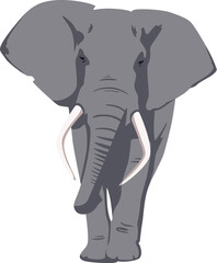 An illustration of a gray elephant with huge tusks walking toward us. Isolated on a white background. Vector illustration Слон