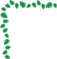 monstera leaf decoration illustration