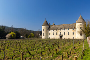 Fototapeta na wymiar Savigny-les-Beaune castle (Chateau de Savigny-les-Beaune), Cote de Nuits, Burgundy, France