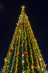 Christmas Tree in the Christmas Market named Wonderland Lisboa in Lisboa, Portugal, 2023
