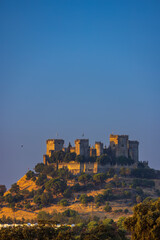Obraz premium Almodovar del Rio Castle in Andalusia, Spain