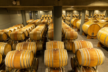 wine cellar full of wooden barrels in Barolo, Piedmont, Italy