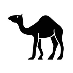 Solid CAMEL design vector icon