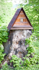 house in the forest for animals and birds. Wooden bird house in the autumn park. on an tree stump. Old wooden feeder for birds on a tree, empty bird's feeder caring about wild birds in cold season.