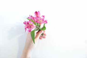 A woman's hand holds a small bouquet of pink flowers on a white background