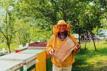 Senior beekeeper checking how the honey production is progressing. Photo of a beekeeper with a comb of honey