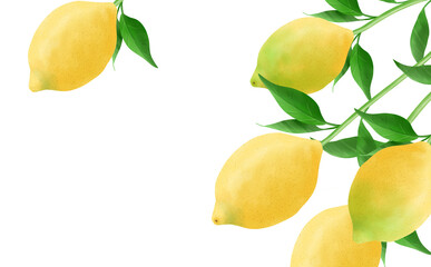 葉付レモンのイラスト素材　白背景