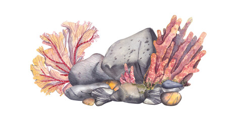 Coral reef with rocks and sea rocks isolated on a white background. Watercolor illustration of underwater plants and fauna. The bottom of the oceans. Suitable for design, invitations, postcards, pack.