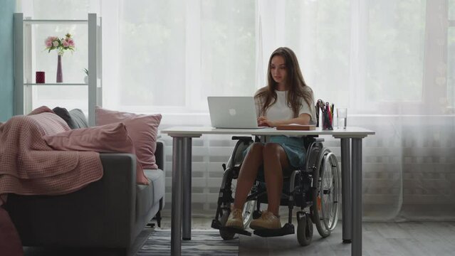 female student with disability sits in wheelchair doing homework on modern laptop. Woman with cerebral palsy gets online education from home