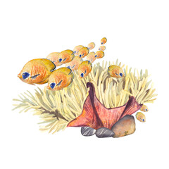 A beautiful flock of yellow fish swims near the reef on a white background. Watercolor illustration of a sea angel and anemone corals. The drawing is suitable for postcards, events, packages.