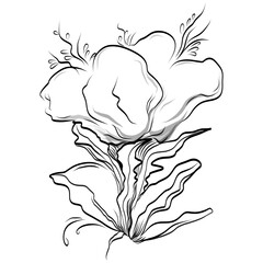 Line drawing flowers, wild flowers, hand drawn vector illustration.