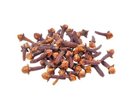 clove on transparent png