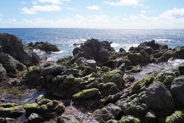 Sonnige Felsenlandschaft an der Atlantikküste bei Funchal auf Madeira