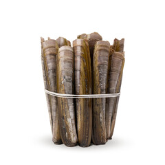Bunch of Razor clams isolated on white background. Fresh seafood.