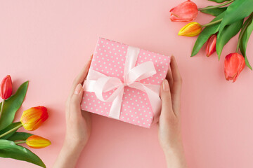 Spring gift concept. First person top view photo of female hands holding present gift box with silk...