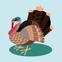 Vector illustration village bird turkey