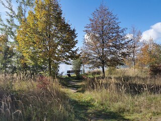 Herbstliche Stimmung an den Ufern des Berzdorfer Sees bei Görlitz