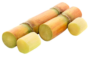 Pieces of sugarcane