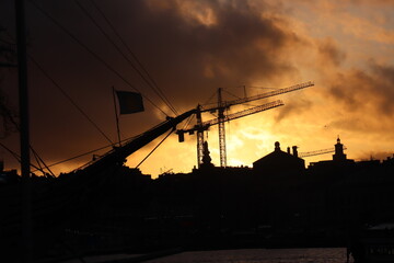 Silhouetten von Kr&auml;nen im Sonnenuntergang