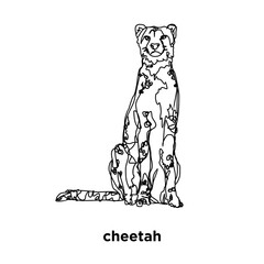 A sitting cheetah is drawn in black and white line art style © arok
