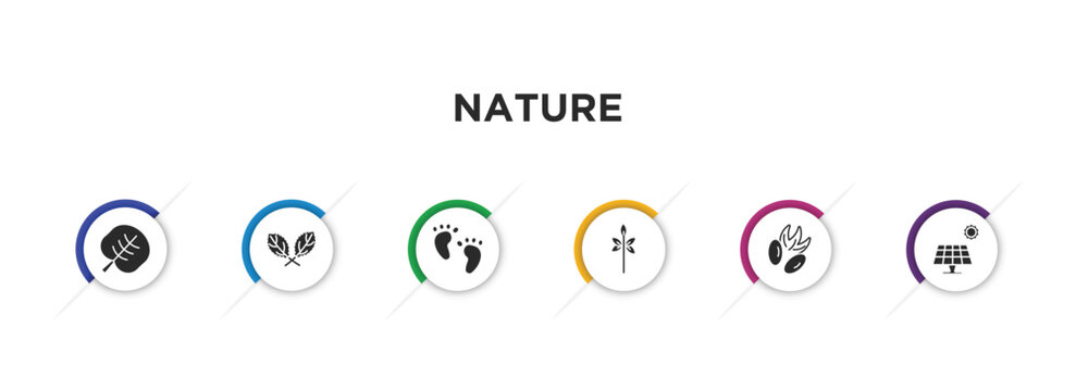 nature filled icons with infographic template. glyph icons such as reniform, straberry leaf, four toe footprint, sprig with five leaves, pecan leaf, solar vector.
