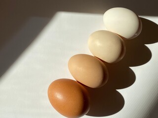 eggs on the table