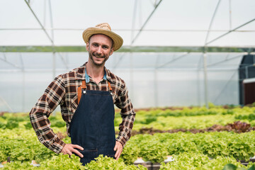 Owner of the hydroponics vegetable garden is checking the quality of the vegetables and checking or recording the growth of the vegetables in the garden, Vegetables in the greenhouse.