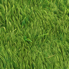 green grass background