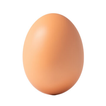 egg in good quality and good image condition