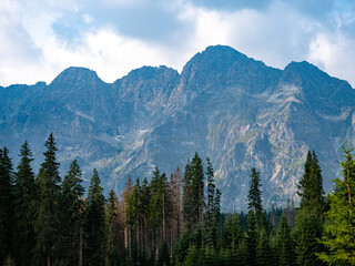 Summer landscape in the Polish Tatras