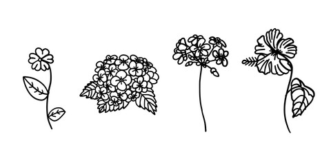 Flowers set in outline doodle flat style. Vector illustration set on white background.